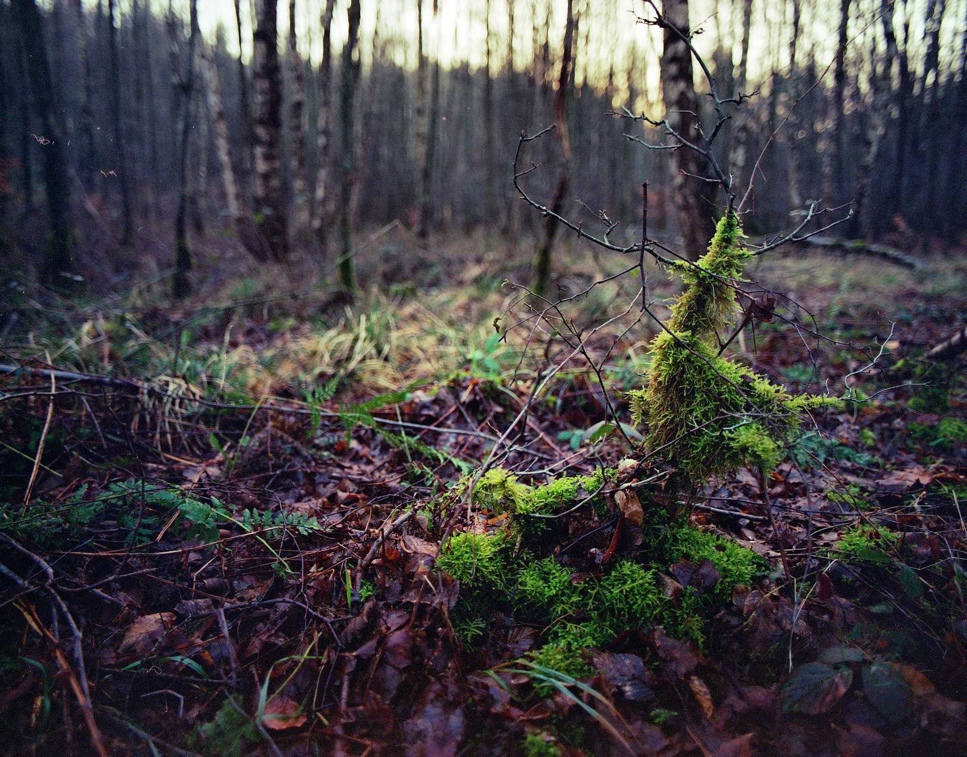 2018 01 18 Pentax 6x7  05